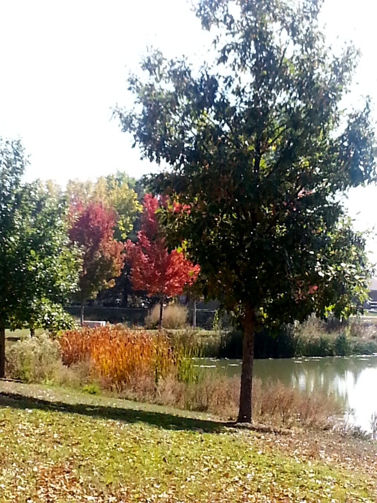 Denver Realtor Reviews - Estate Sale In Southwest Denver Denver Realtor Reviews - Estate Sale In Southwest Denver