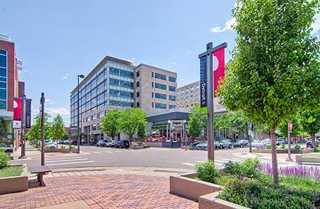 Explore Cherry Creek