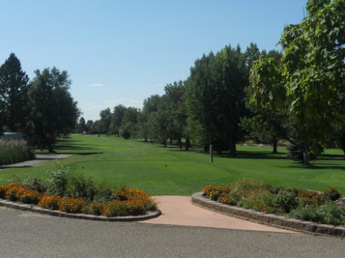 Meadow Hills Golf Course Susanna Cohen Meadow Hills Golf Course Susanna Cohen