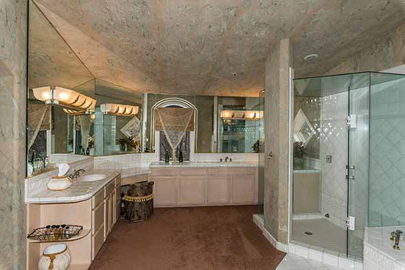 Before 388 Titan Place Master Bathroom