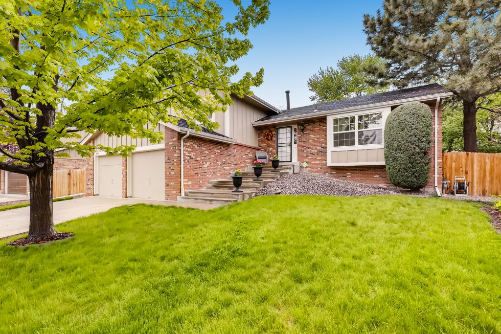 Cherry Creek Vista Homes For Sale in Cherry Creek School District