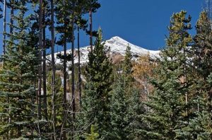 Breckenridge Park Estate View