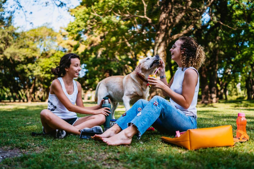 Dog-friendly activities in Denver - Two women having a picnic with their dog in a park.