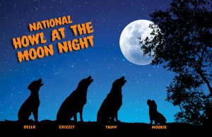 October 2024 Howl at the Moon