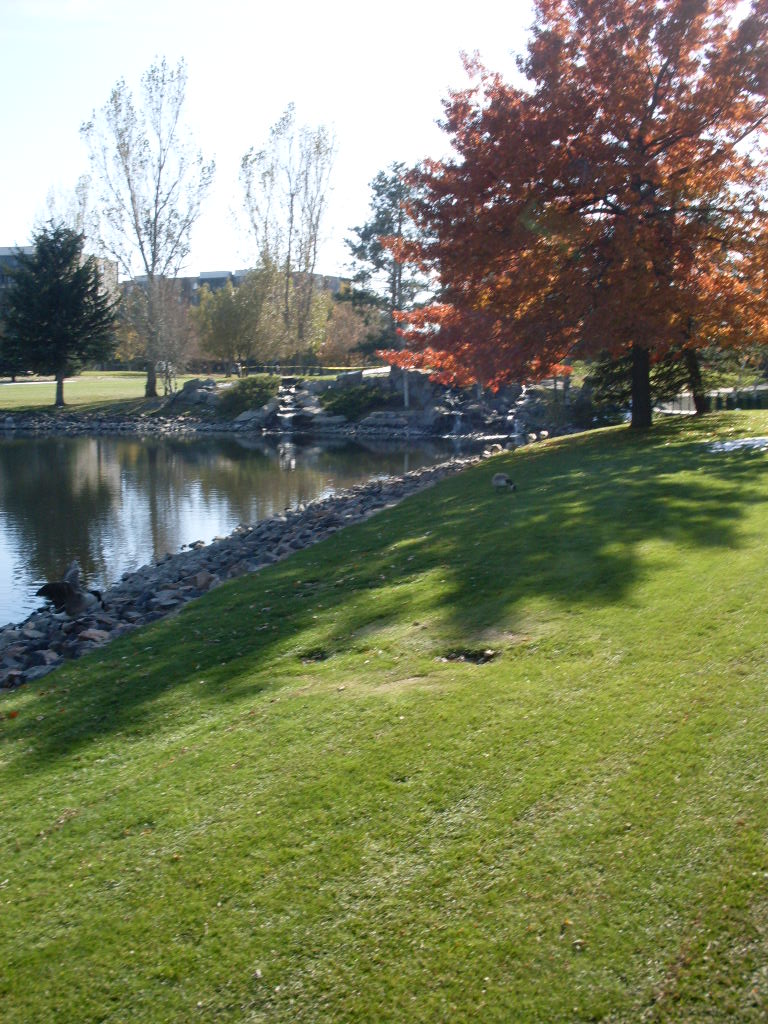 Gallery Heather Gardens, Aurora CO Homes for Sale