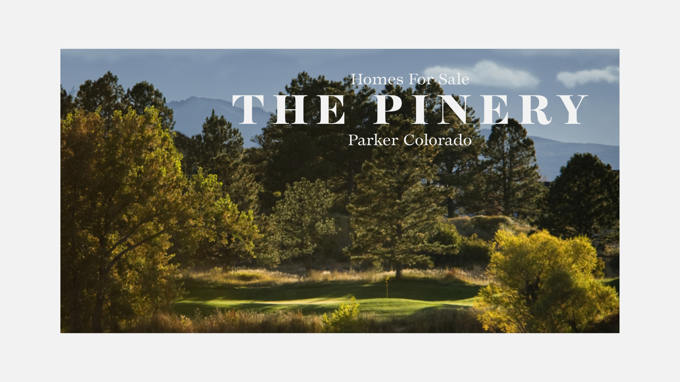 Homes for Sale in the Pinery Phillip Booghier REALTOR®