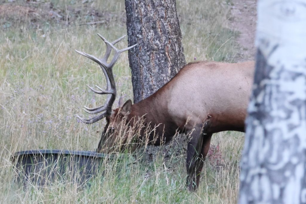 Hunting Ranch in Colorado