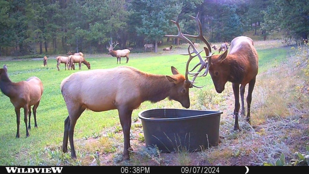 Colorado Hunting Land