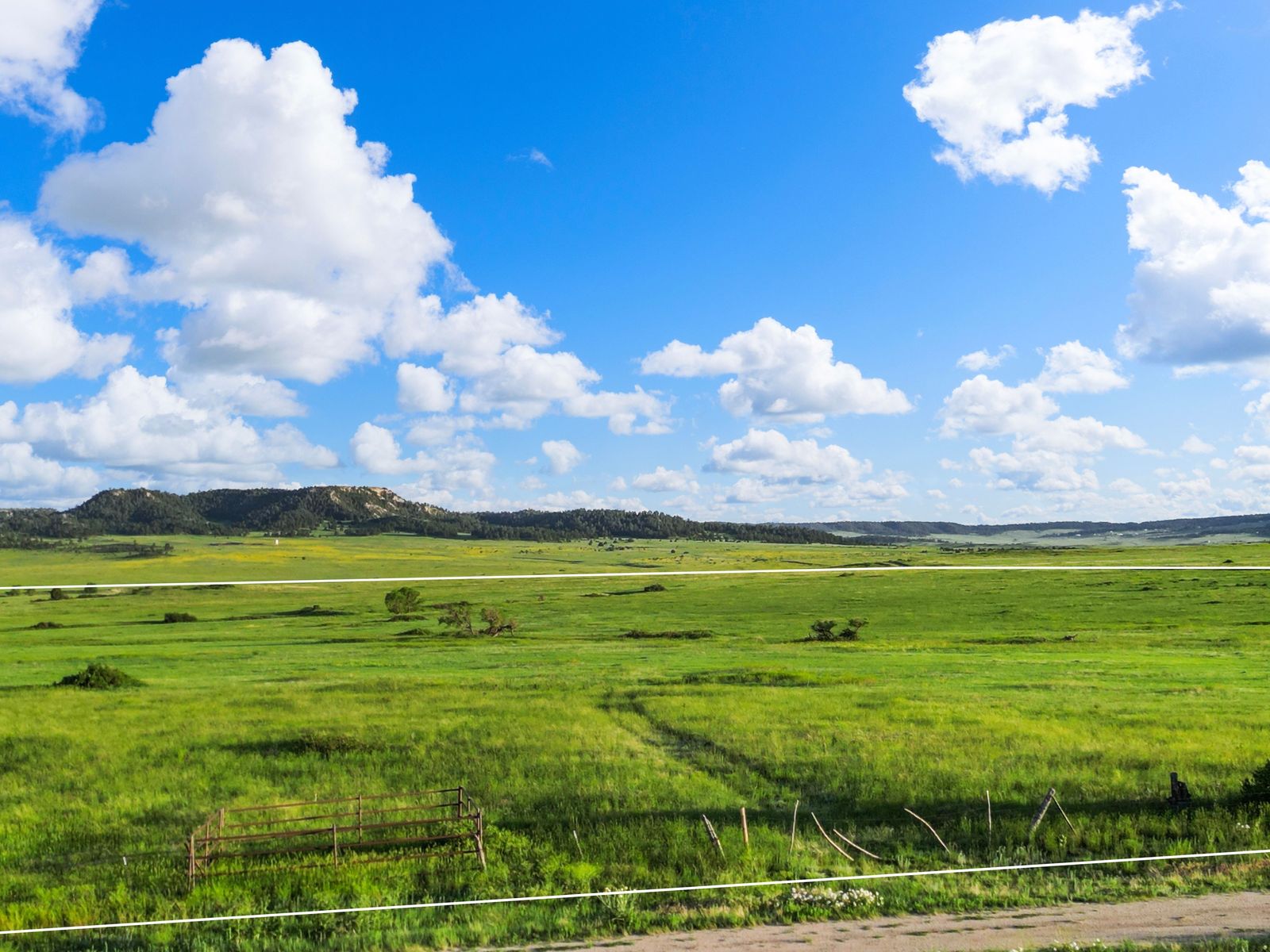 Open acreage in Elbert County, Colorado, with the Front Range on the horizon